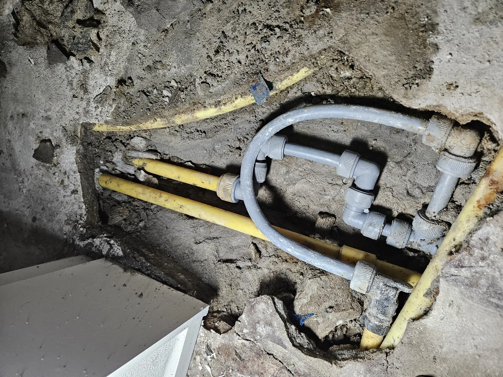 경기 용인시 누수 피해 바닥 곰팡이 점검