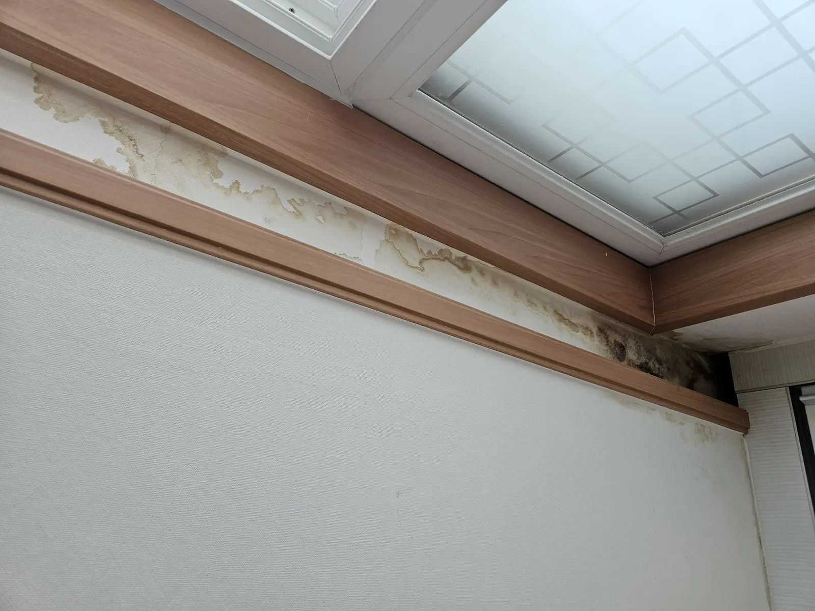 인천 연수구 누수탐지 및 벽면 곰팡이 제거 배관 수리 사례